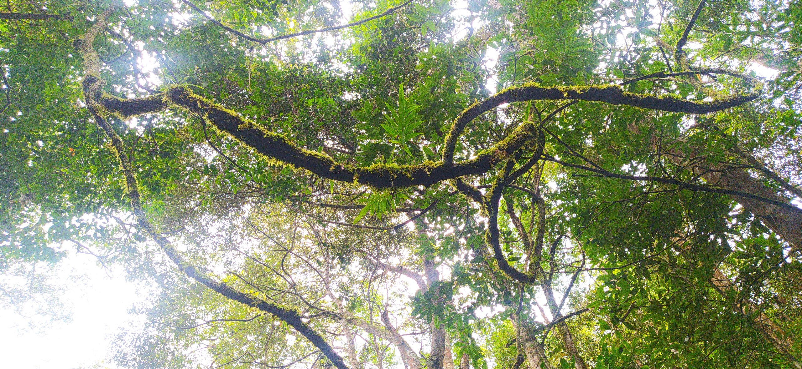 you can learn from them